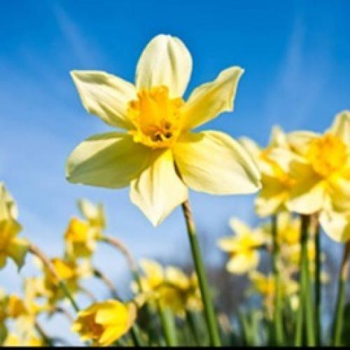 Uni-tnt 9th Annual Boat Ride - Yellow