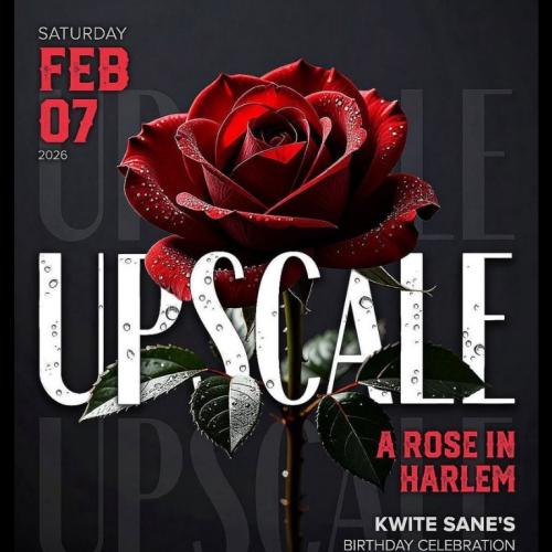 Upscale :: A Rose In Harlem 