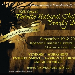 Toronto Natural Hair & Beauty Show 
