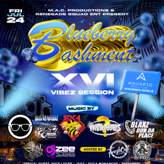 ~ BLUEBERRY BASHMENT ~ VIBEZ SESSION XVI 
